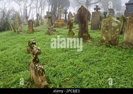 Der Friedhof in St. Dennis Parish Church, Cornwall, Großbritannien - John Gollop Stockfoto