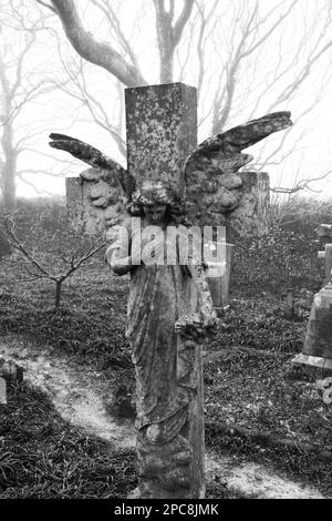 Der Friedhof in St. Dennis Parish Church, Cornwall, Großbritannien - John Gollop Stockfoto