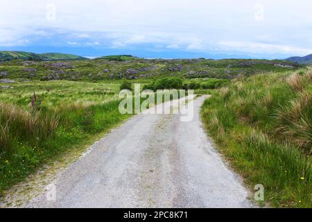 Einspurige Strecke südlich des Dorfes Ardgroom auf der Beara-Halbinsel, County Cork Irland - John Gollop Stockfoto