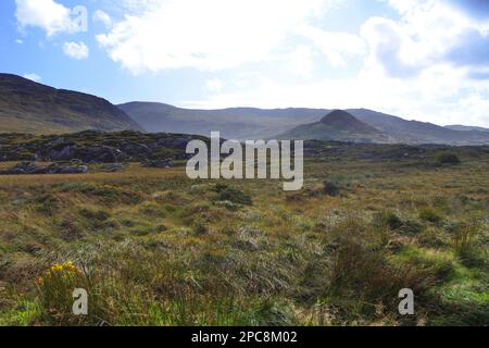 Die Landschaft südlich von Ardgroom auf der Beara-Halbinsel, County Cork, Irland - John Gollop Stockfoto