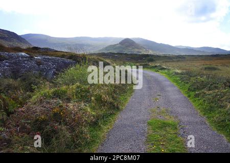 Die Landschaft südlich von Ardgroom auf der Beara-Halbinsel, County Cork, Irland - John Gollop Stockfoto