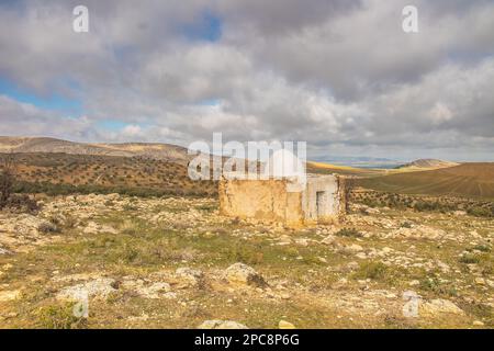 Dolmen in Westtunesien. Les Mégalithes d'Ellès, Kef, Tunesien, Erkundung der antiken Megalithen Stockfoto