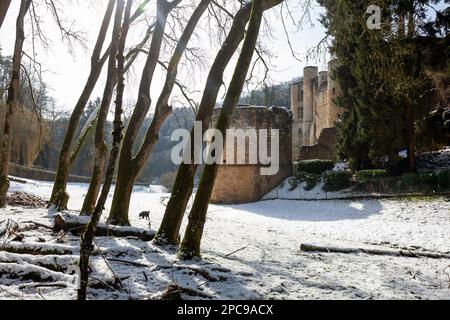 Europa, Luxemburg, Grevenmacher, der Müllerthal-Pfad vorbei am Schloss Beaufort im Winter Stockfoto