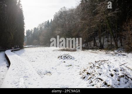 Europa, Luxemburg, Grevenmacher, der Mullerthal Trail (erhöhter Holzabschnitt) in der Nähe von Beaufort Castle im Winter Stockfoto