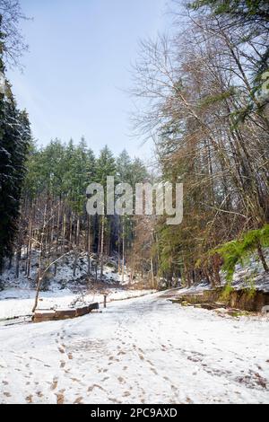 Europa, Luxemburg, Grevenmacher, Beaufort, der Müllerthal Trail, der im Winter durch das Waldland führt Stockfoto