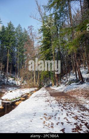 Europa, Luxemburg, Grevenmacher, Beaufort, der Müllerthal-Pfad und der Haupeschbaach (Bach), der im Winter durch die Wälder führt Stockfoto