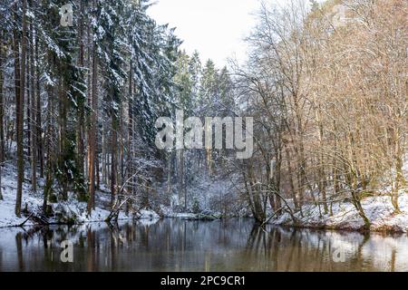 Europa, Luxemburg, Grevenmacher, Beaufort, Ein von Menschenhand geschaffener See, der Schloss Beaufort im Winter mit Wasser versorgt Stockfoto