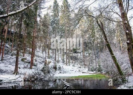 Europa, Luxemburg, Grevenmacher, Ein von Menschenhand geschaffener See, der das Schloss Beaufort im Winter mit Wasser versorgt Stockfoto