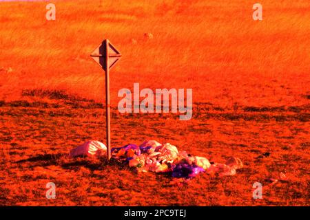 Post-Apokalypse. Schild in Wildnis (wahrscheinlich vergiftete Erde geschrieben) und ein Haufen Müllsäcke. Das Konzept des Planeten Erde Zukunft nach dem Militär (Nuclea Stockfoto