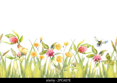 Aquarell handgezeichnete Wiese Kräuter nahtlose Umrandung mit grünem Gras, roten Kleeblümchen und Butterblume isoliert auf weißem Hintergrund Stockfoto