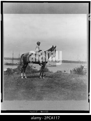 Ein afroamerikanischer Junge sitzt auf einem Pferd in der Nähe eines Flusses. Nr. 2431, Bildunterschrift auf dem Berg: 'General Rawlins Pferd aufgenommen in Cold Harbor, Virginia', Sammlung von Bürgerkriegsfotos. Rawlins, John A, (John Aaron), 1831-1869, Zugeordnete Objekte, Usa, Geschichte, Bürgerkrieg, 1861-1865, Tiere, Afroamerikaner, Beschäftigung, Virginia, 1860-1870, Pferde, Virginia, 1860-1870. Stockfoto