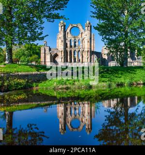 Der Blick auf die Elgin Cathedral im Frühling spiegelt sich im Fluss Lossie, Moray Firth, Schottland, Großbritannien Stockfoto