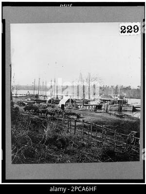 Broadway Landing, Appomattox River, Virginia. Fotosammlung Des Bürgerkriegs, Nr. 229. Piers & Wharves, Virginia, Appomattox River, 1860-1870, Vereinigte Staaten, Geschichte, Bürgerkrieg, 1861-1865, Transport. Stockfoto