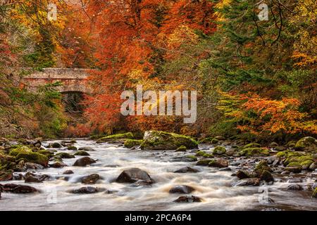 River Findhorn und Logie Bridge im Herbst in der Nähe von Forres, Moray, Schottland, Großbritannien Stockfoto