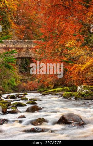 River Findhorn und Logie Bridge im Herbst in der Nähe von Forres, Moray, Schottland, Großbritannien Stockfoto