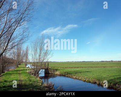 Grünes Gras auf Wiesen in der Nähe von rotterdam in holland unter blauem Frühlingshimmel Stockfoto