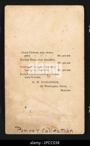 First Lady Mary Todd Lincoln, halblanges Porträt, sitzend, nach vorne gerichtet, trägt Trauerkleid nach dem Tod ihres Sohnes Willie / G. W.. Tomlinson, 221 Washington Street, Boston. Liljenquist Family Sammlung von Bürgerkriegsfotos, pp/liljpaper, pp/liljwoch. Lincoln, Mary Todd, 1818-1882, Lincoln, William Wallace, 1850-1862, Tod und Beerdigung, Vereinigte Staaten, Geschichte, Bürgerkrieg, 1861-1865, Frauen, Gewerkschaft, Ehepartner von Präsidenten, 1860-1870, Trauerkleidung und -Kleid, 1860-1870. Stockfoto