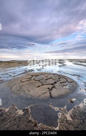 Interessante Felsformationen auf dem Schieferboden in Saltwick Bay, Nr Whitby an der Küste von North Yorkshire Stockfoto