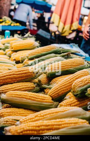 Auf dem Markt verkaufter Mais, Mais auf dem Kopf Stockfoto