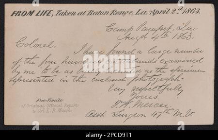 Entflohener Sklave Gordon, auch bekannt als „Peitsche Peter“, zeigt seinen Narbenrücken bei einer medizinischen Untersuchung, Baton Rouge, Louisiana. Liljenquist Family Sammlung von Bürgerkriegsfotos, pp/liljpaper. Afroamerikaner, Strafe & Folter, 1860-1870, flüchtige Sklaven, Louisiana, Baton Rouge, 1860-1870, Wunden & Verletzungen, 1860-1870, USA, Geschichte, Bürgerkrieg, 1861-1865, Afroamerikaner, Louisiana, Baton Rouge. Stockfoto