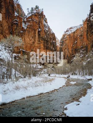 Der Virgin River und Schnee im Zion-Nationalpark, Utah Stockfoto