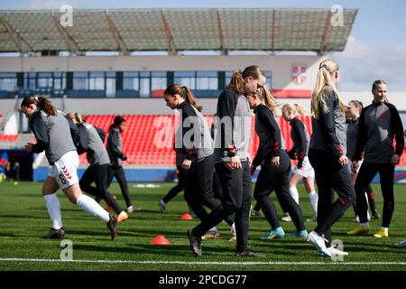 Belgrad, Serbien, 12. März 2023. Die Spieler Dänemarks wärmen sich während des Spiels zwischen Serbien U17 und Dänemark U17 im Sports Center of FA of Serbia auf dem 1. Platz in Stara Pazova, Serbien, auf. 12. März 2023. Kredit: Nikola Krstic/Alamy Stockfoto