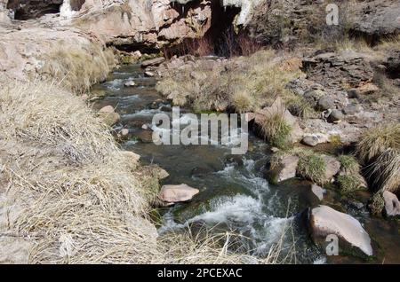 Soda Damn Creek Jemez Springs New Mexico Stockfoto