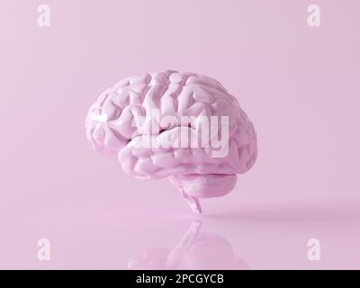 Minimalistisches rosa Gehirn in der Vorderansicht auf pastellrosa Hintergrund. Rendering Human Brain Anatomical Model, denke Comic Speech Bubble, Seitenansicht. Stockfoto