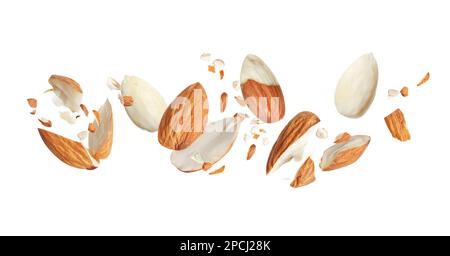 Leckere Mandelstücke auf weißem Hintergrund. Bannerdesign Stockfoto