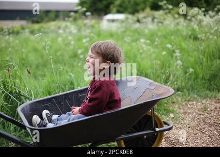 Ein Kleinkind, das in einer Schubkarre lacht Stockfoto