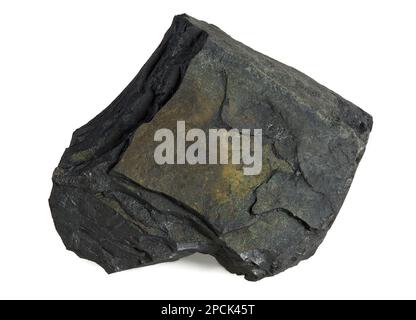 Cannel Coal ist eine Art von Ölschiefer und bituminöser Kohle. ALIAS: Candle Coal, Boghead Coal und Torbanite. Stockfoto