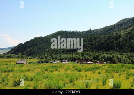 Eine Gruppe von mehreren traditionellen Holzhäusern auf einer breiten Lichtung am Fuße eines hohen Berges, der mit dichtem Nadelwald überwuchert ist. Kasanowka, Khak Stockfoto