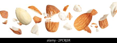 Leckere Mandelstücke auf weißem Hintergrund. Bannerdesign Stockfoto