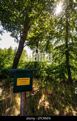 Impressionen aus Ilsenburg Harz und Umgebung Stockfoto