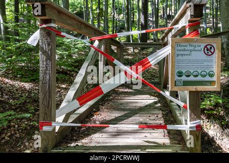Impressionen aus Ilsenburg Harz und Umgebung Stockfoto