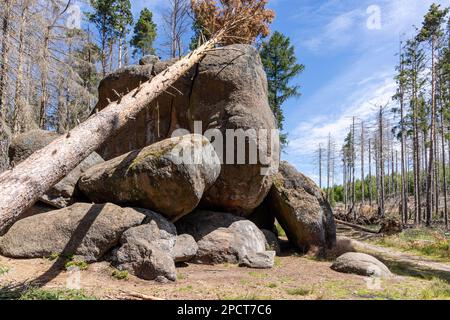 Impressionen aus Ilsenburg Harz und Umgebung Stockfoto