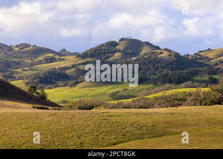 Grasfeld und grüne sanfte Hügel des Mt. Burdell in Marin County, Kalifornien Stockfoto