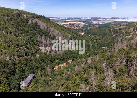 Impressionen aus Ilsenburg Harz und Umgebung Stockfoto