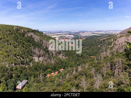 Impressionen aus Ilsenburg Harz und Umgebung Stockfoto