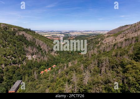 Impressionen aus Ilsenburg Harz und Umgebung Stockfoto