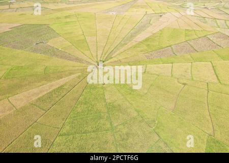 Drohnenschuss aus der Vogelperspektive auf das Spinnennetz-Reisfeld in Ruteng auf Flores, das Spinnennetz-Reisfeld in der Mitte. Stockfoto