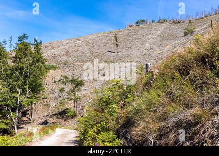 Impressionen aus Ilsenburg Harz und Umgebung Stockfoto