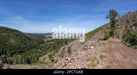 Impressionen aus Ilsenburg Harz und Umgebung Stockfoto