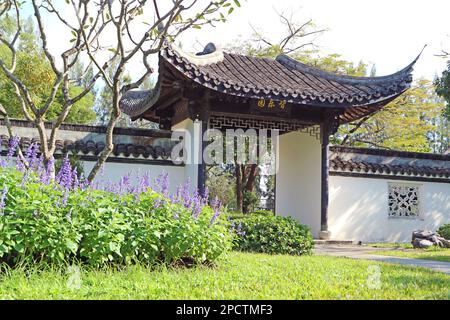 Klassischer chinesischer Garten, umgeben von einer weißen Mauer mit traditionellem Tor Stockfoto