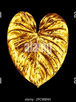 Goldenes Blatt, Wassertropfen schwarzer Hintergrund isolierte Nahaufnahme, Goldblätter, gelbes Metallblatt, Blütenblatt, dekoratives Pflanzendesign Stockfoto