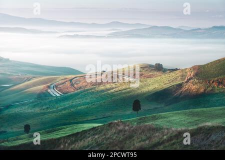 Neblige Landschaft in Volterra bei Sonnenaufgang. Bäume, sanfte Hügel und eine Straße. Toskana, Italien, Europa Stockfoto