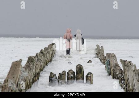 Mann in der Arktis. Zwei Figuren am Rand eines Holzbruchs Stockfoto