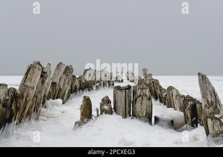 Mann in der Arktis. Zwei Figuren am Rand eines Holzbruchs Stockfoto