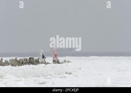 Mann in der Arktis. Zwei Figuren am Rand eines Holzbruchs Stockfoto