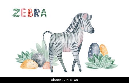 Zebra-Aquarell-Illustration. Kinderdarstellung eines afrikanischen Tieres. Buchzeichnung. Stockfoto